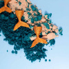 lc2ujqs9i1uwxgx6y4ylor98t67092n3